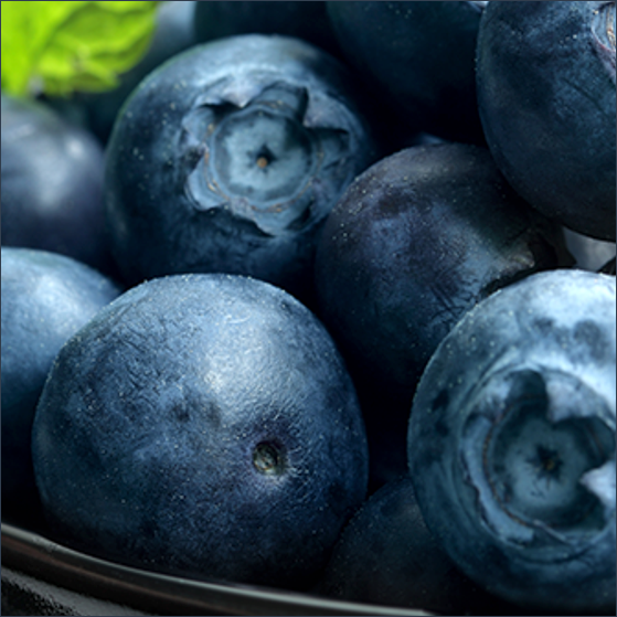 Wild Blueberry Dark Balsamic Vinegar