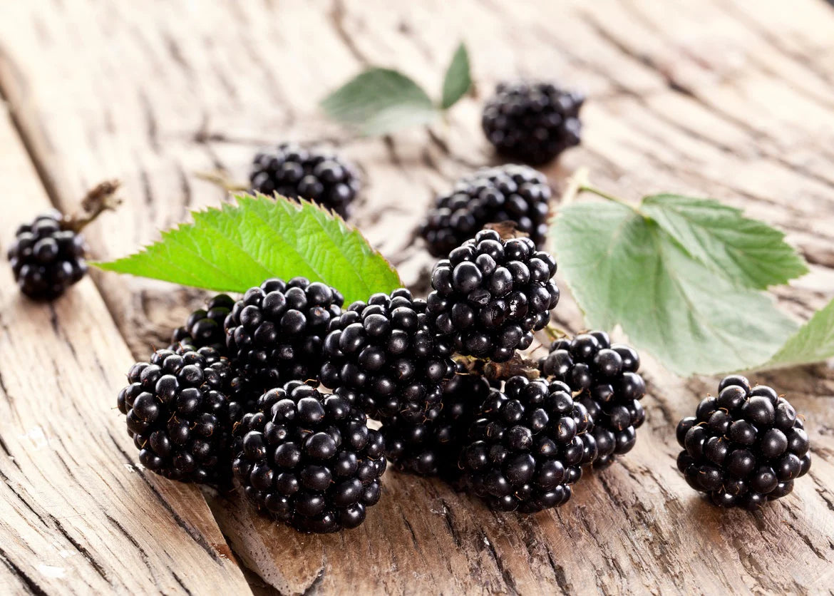 Blackberry Ginger Dark Balsamic Vinegar