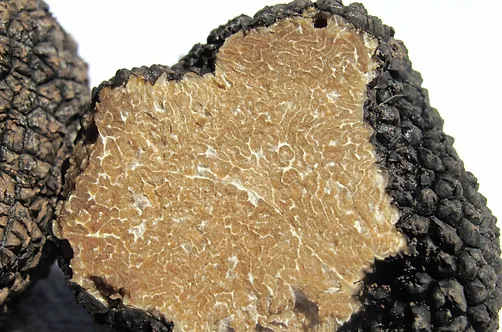 Black Truffle Specialty Olive Oil