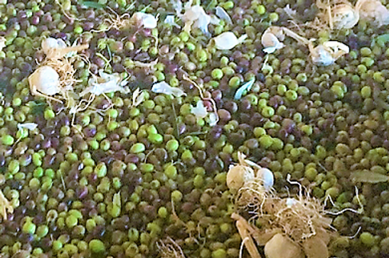 Garlic (Greece) Olive Oil