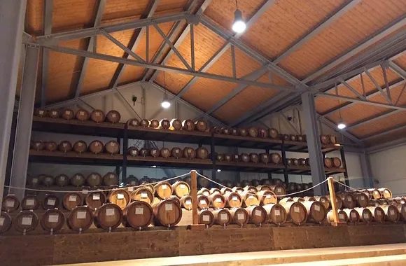 Denissimo (Italy) Balsamic