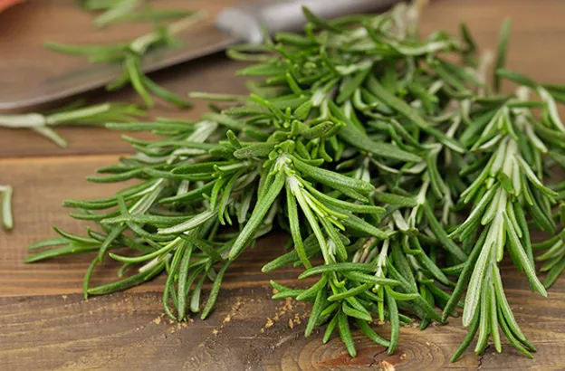 Rosemary (AUS) Olive Oil