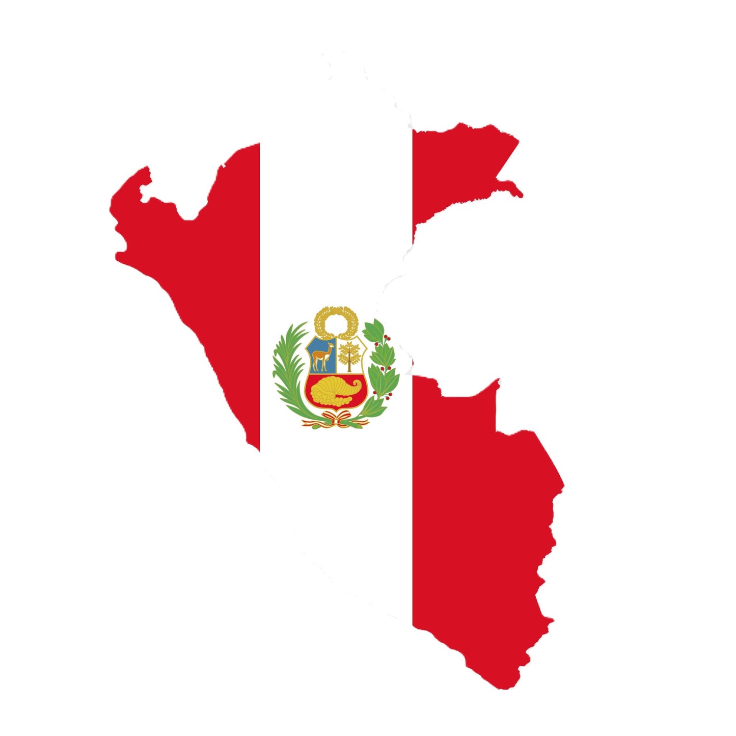 Coratina (Peru 2025) Olive Oil