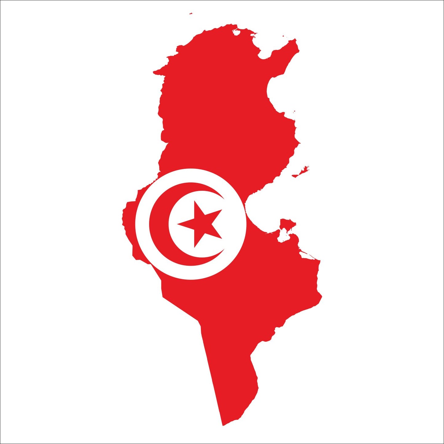 Ultra High Phenol Chetoui 2024 Tunisia
